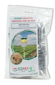 leaflet